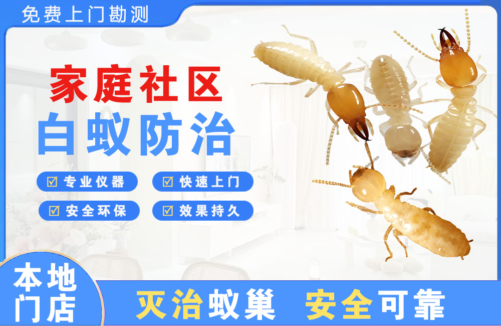 韶关家庭社区白蚁防治