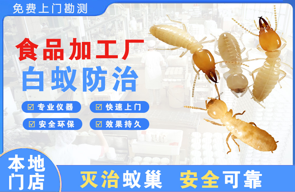 韶关食品加工厂白蚁防治