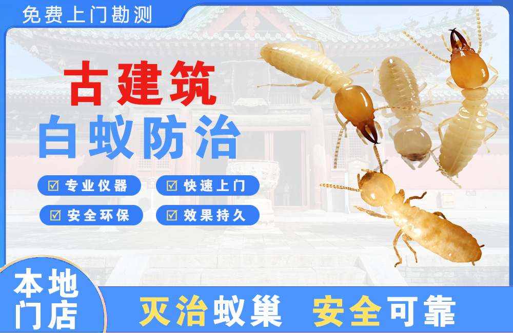 韶关古建筑白蚁防治