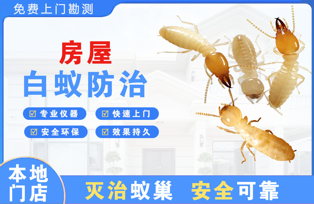 韶关房屋白蚁防治